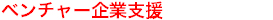 事業・商品展開支援