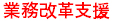 業務改革支援