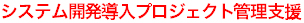 システム開発導入プロジェクト管理支援